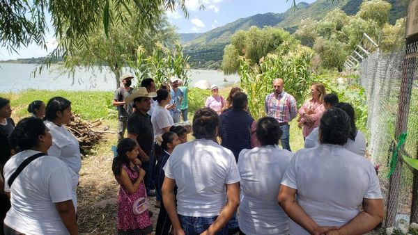 Gallinas felices de Mexcala, una granja que busca ayudar con la soberanía alimentaria de la región