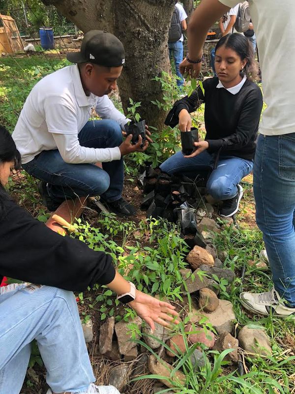Las enseñanzas de la tierra: sembrar para generar espacios de conocimiento y convivencia